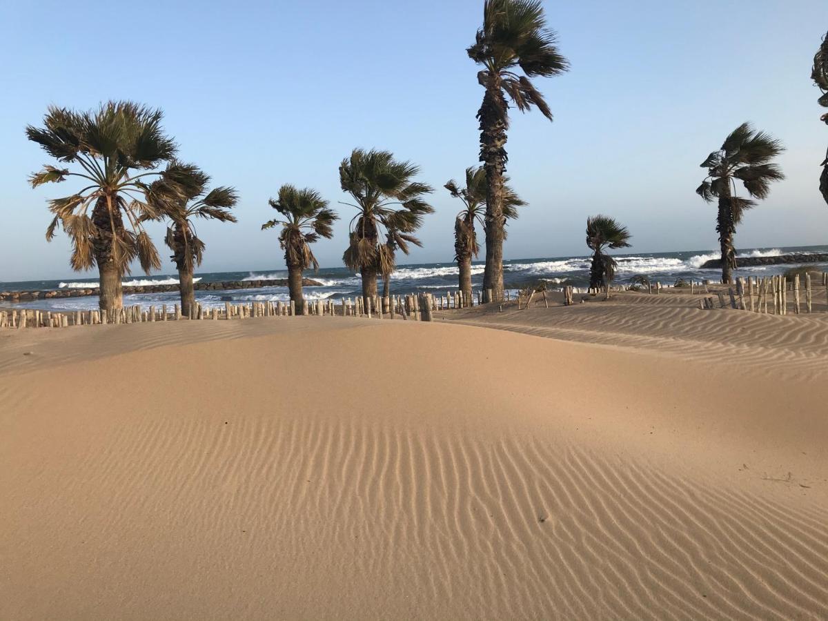 Apartment Newly Renovated Aircond-Wifi-Pool-Sea View-150M To Beaches- Saint Aygulf Exterior foto